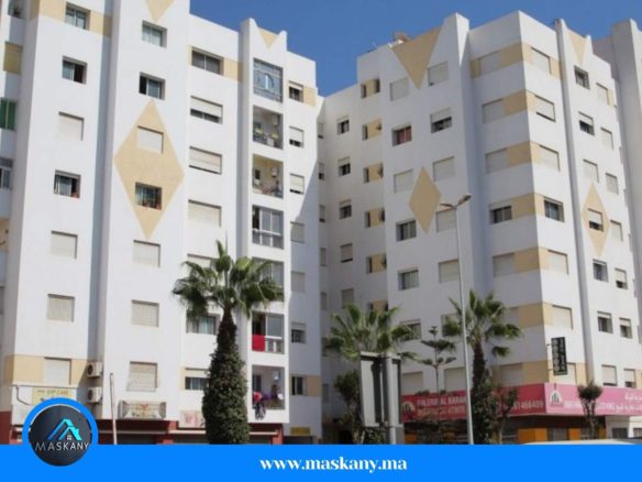 جاليري البركة