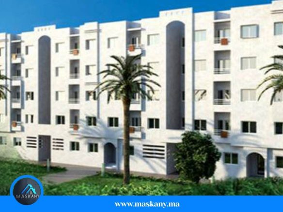 عرصة الزيتون